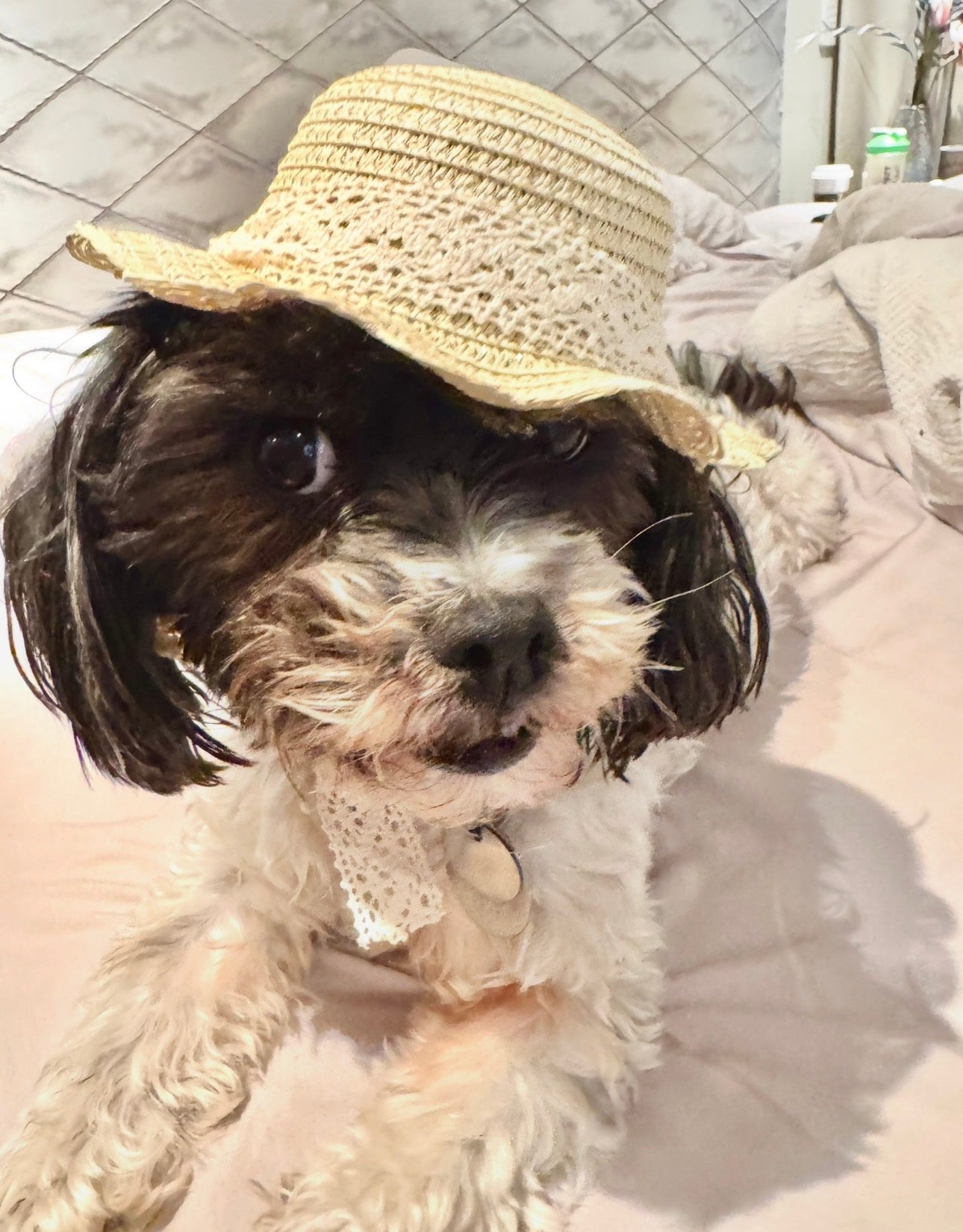 Elegant Sun Hat w/ lace