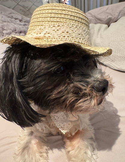 Elegant Sun Hat w/ lace