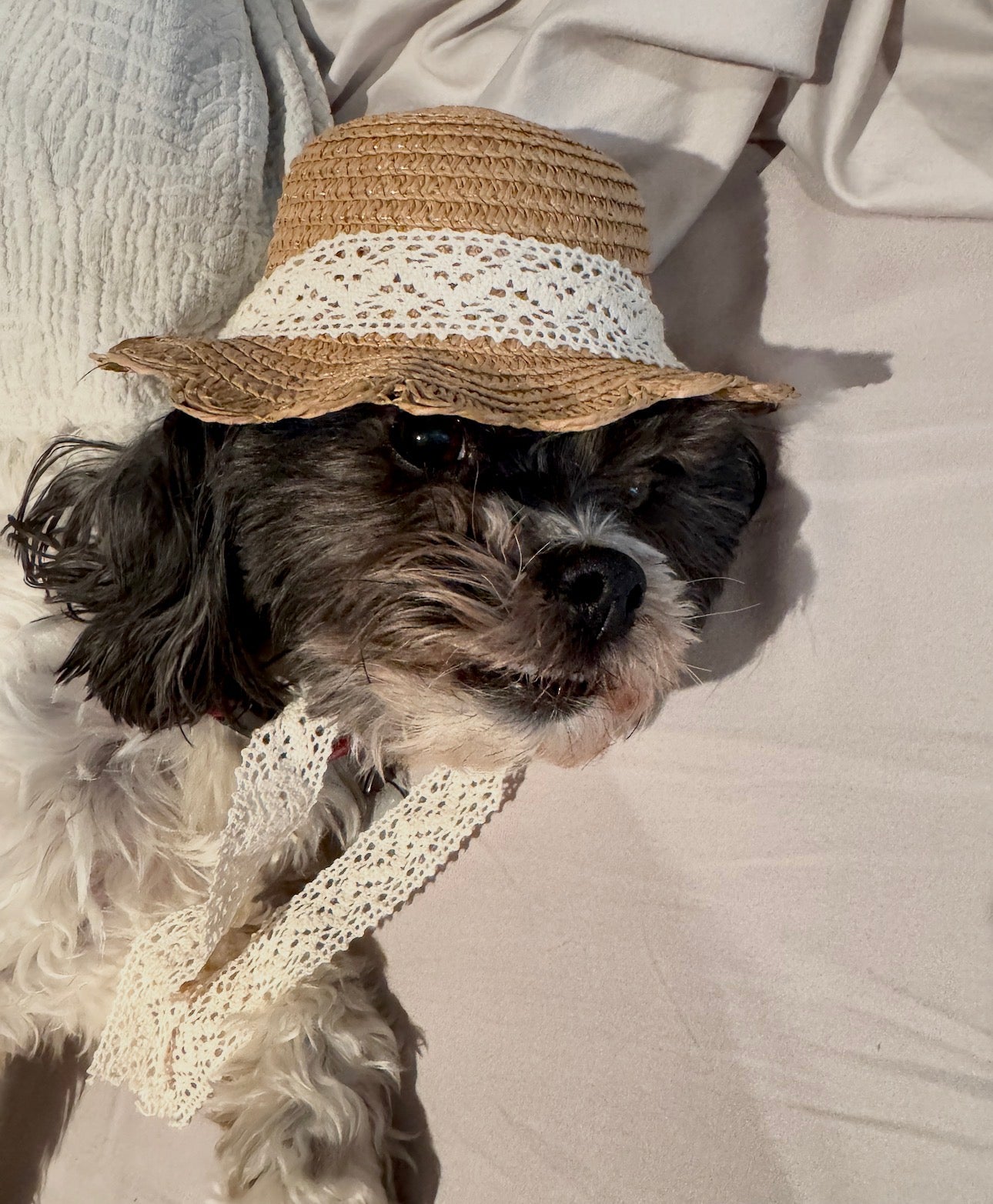 Elegant Sun Hat w/ lace