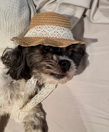 Elegant Sun Hat w/ lace