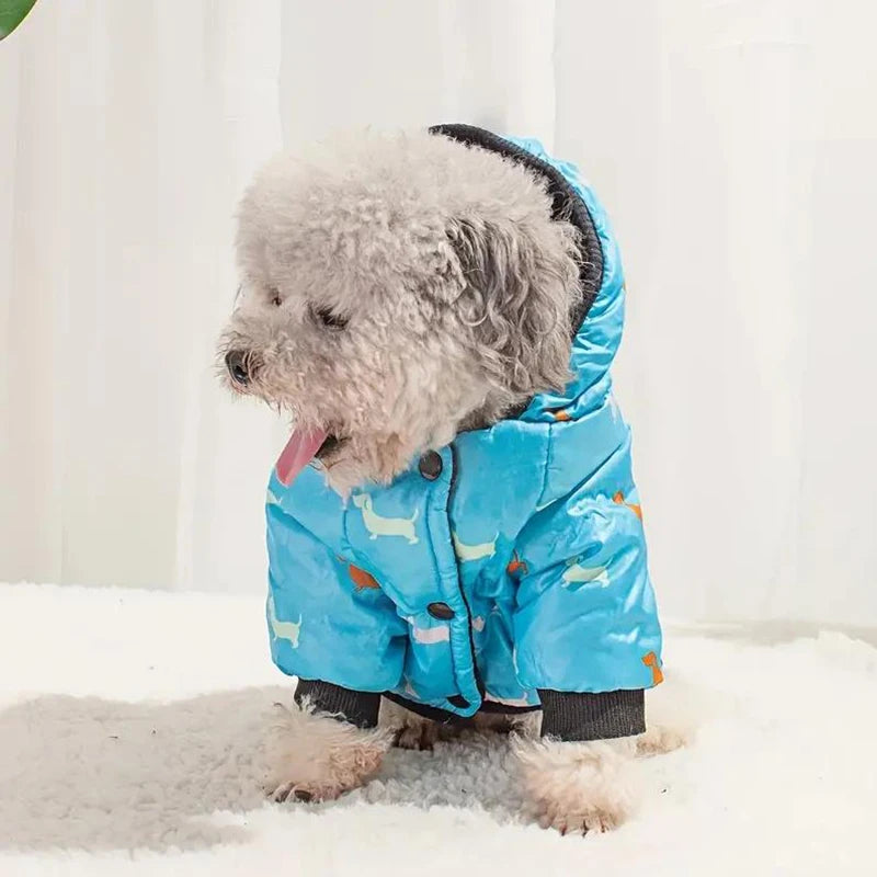 Bow-wow-worthy coat