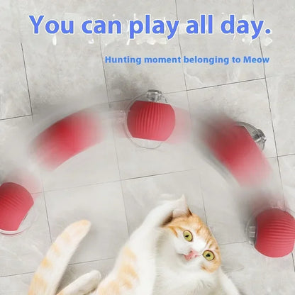 Interactive cat toy ball