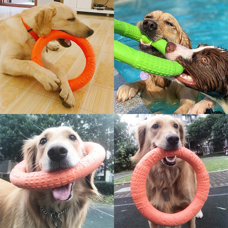 Training Ring Dog Toy or Flying Disk