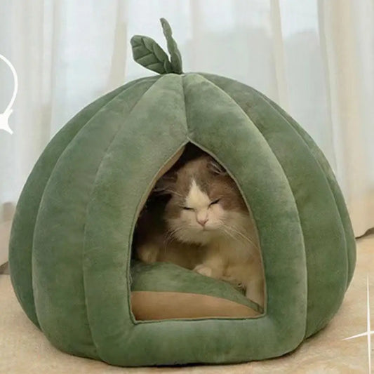 Cat Nest