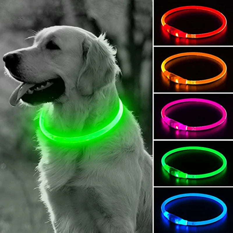 Usb Led Pet Collar