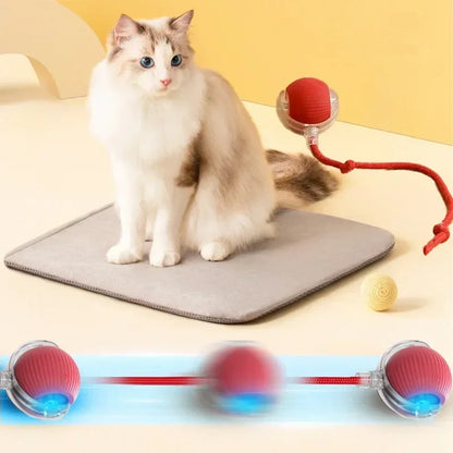 Interactive cat toy ball