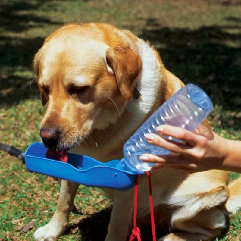 Portable drinker