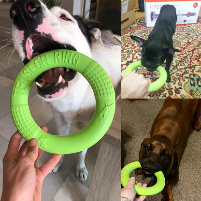 Training Ring Dog Toy or Flying Disk