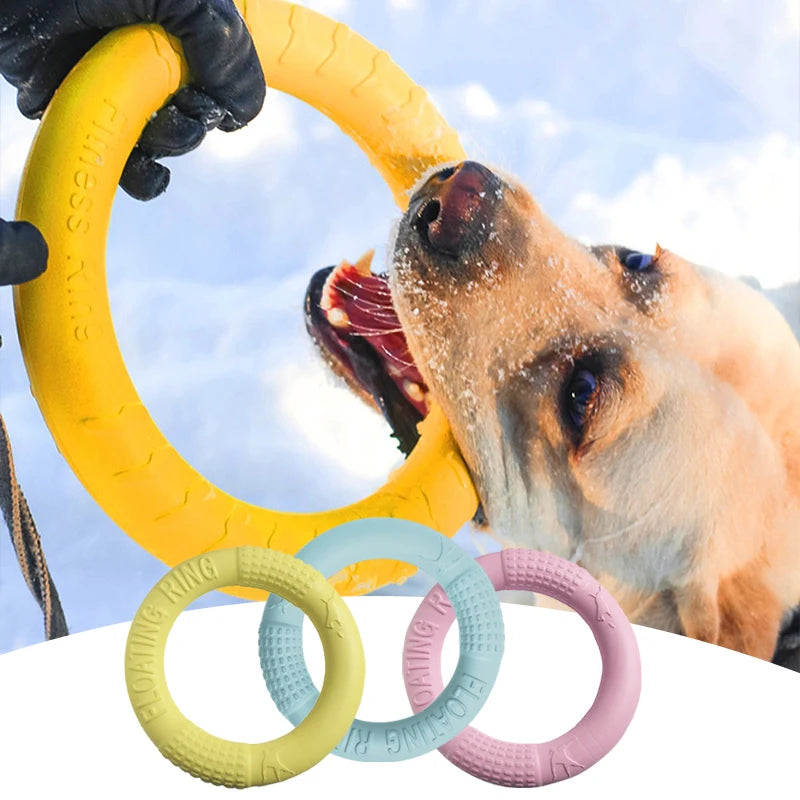 Training Ring Dog Toy or Flying Disk