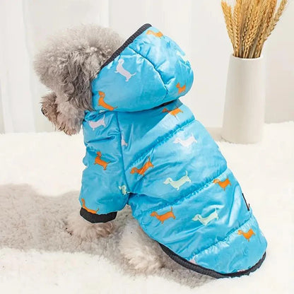 Bow-wow-worthy coat