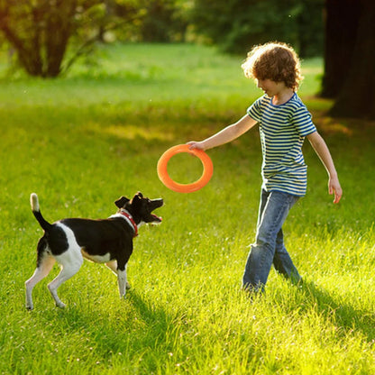 Training Ring Dog Toy or Flying Disk