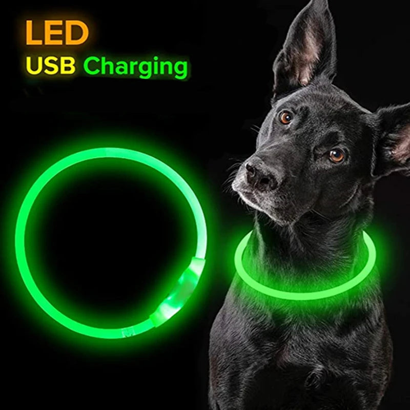 Usb Led Pet Collar