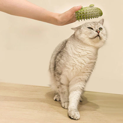 Cat  Massage Comb