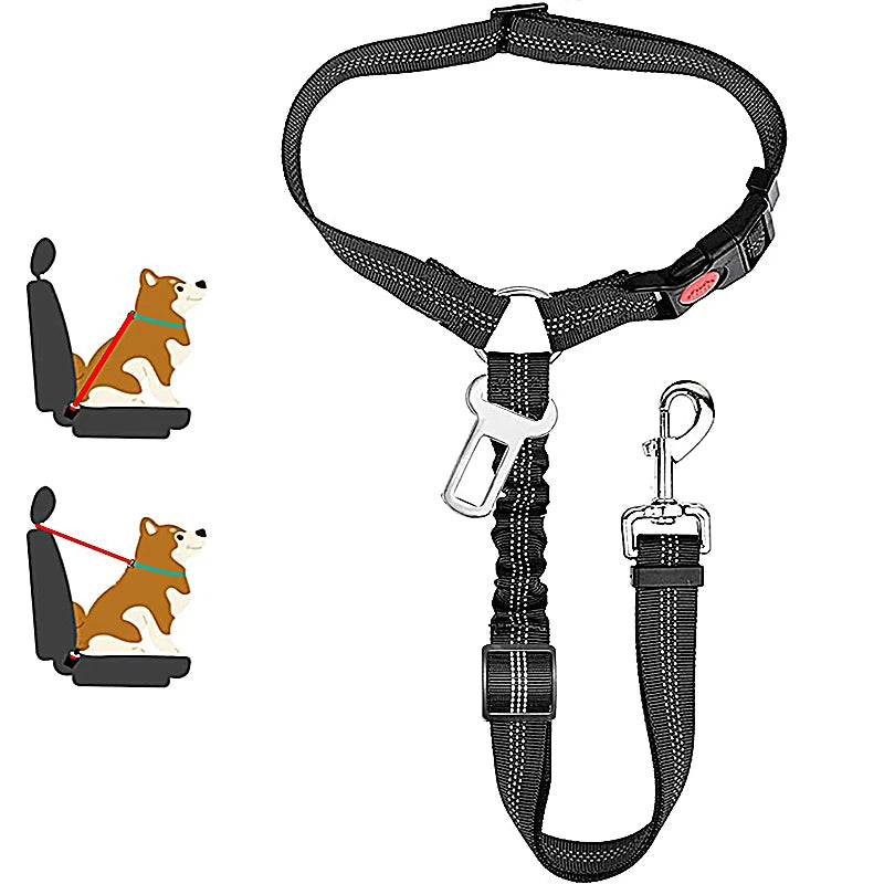 Pet Car Seat Belt Safety