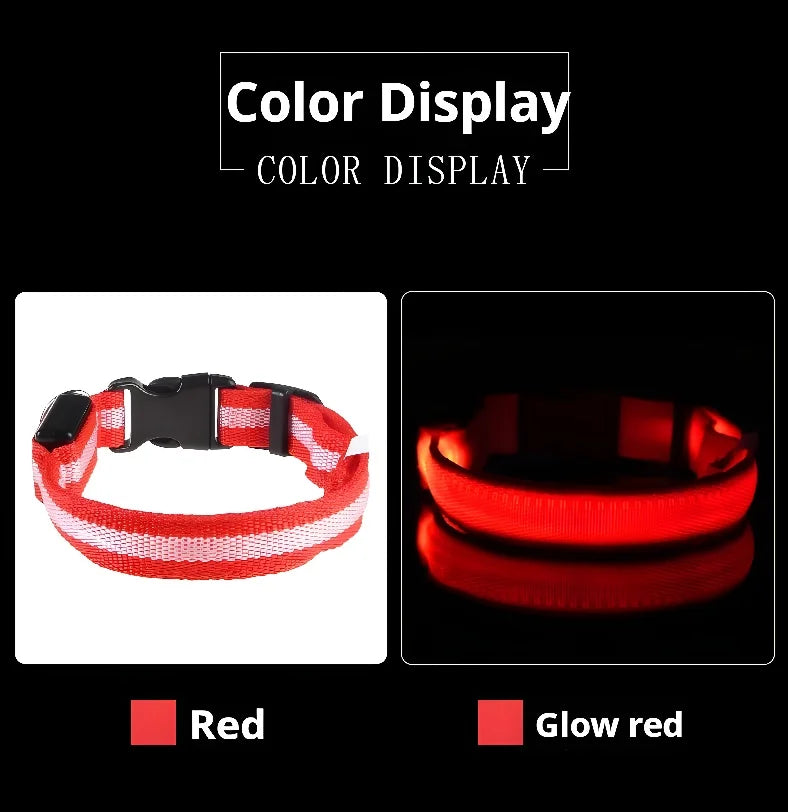 LED Nylon Pet Collar for Safety