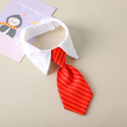 Bow Tie Collar