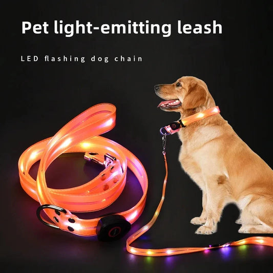 LED Flashing  USB Charging Leash