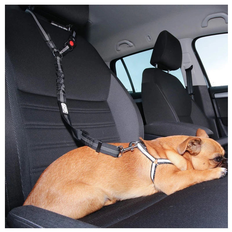 Pet Car Seat Belt Safety