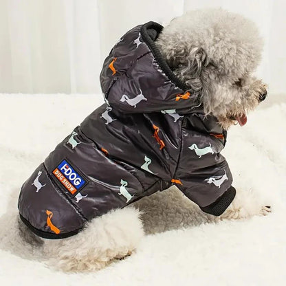 Bow-wow-worthy coat