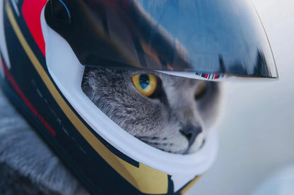 Motorcycle Helmet small dogs and cats