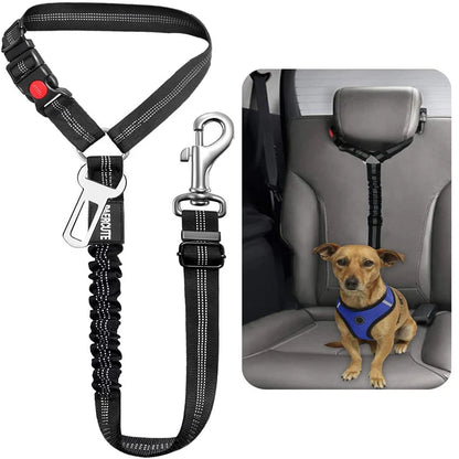 Pet Car Seat Belt Safety