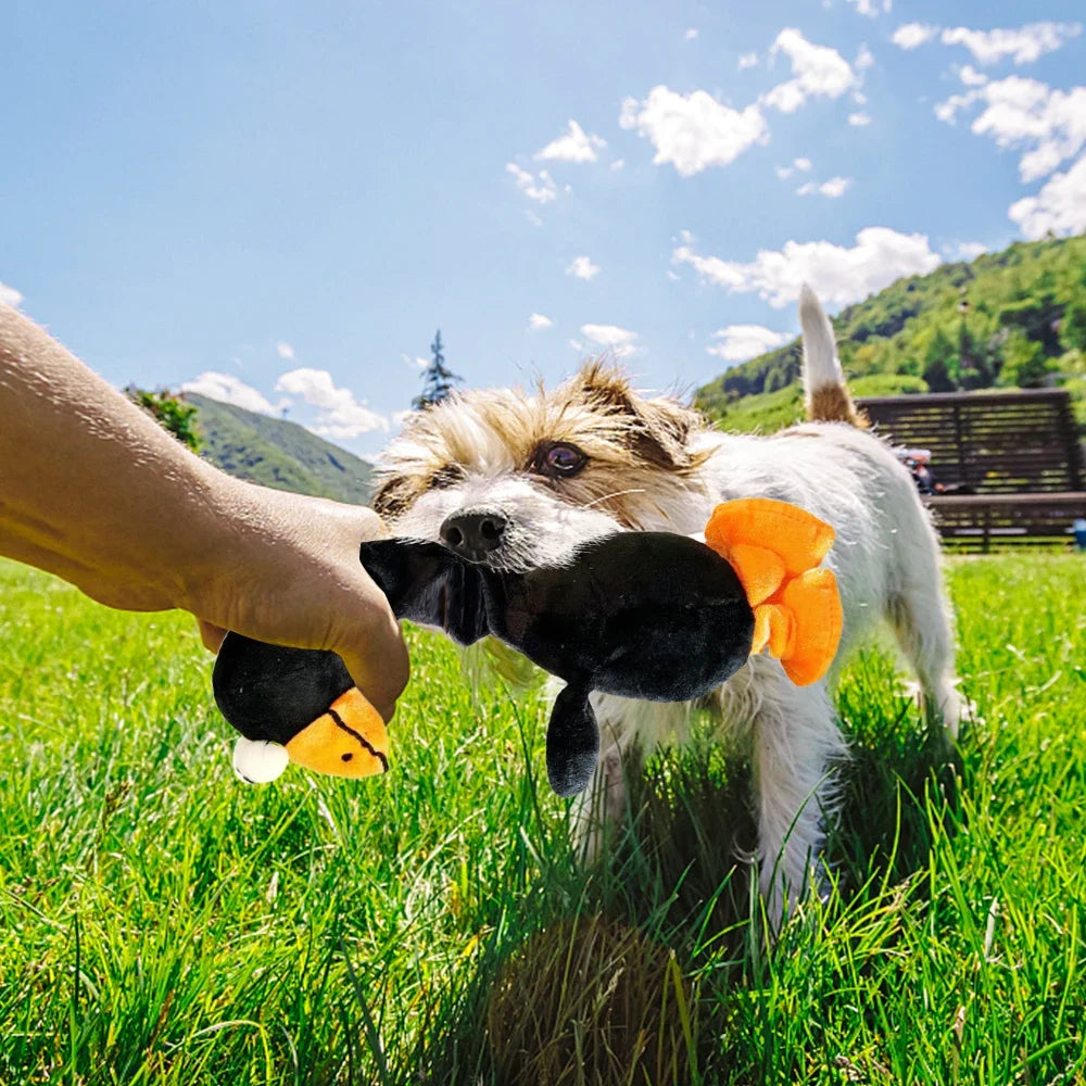 Long Neck Chicken Sound Toy