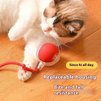 Interactive cat toy ball