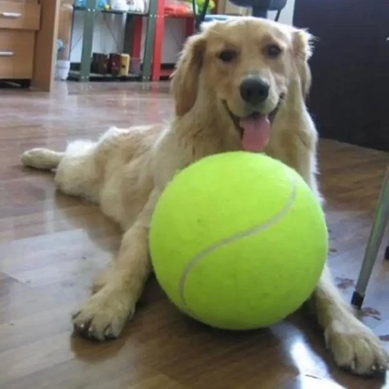 Giant tennis ball