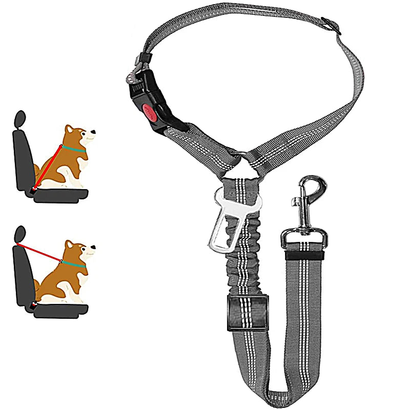 Pet Car Seat Belt Safety