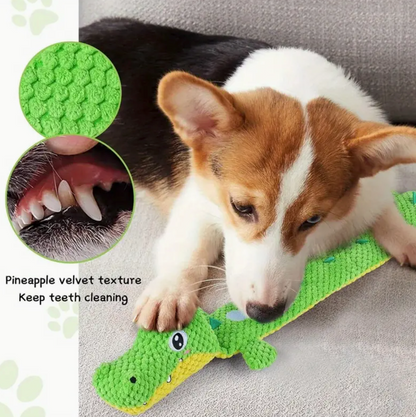 Interactive Cocodile snuffle toy