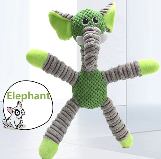 Long arms tug Elephant