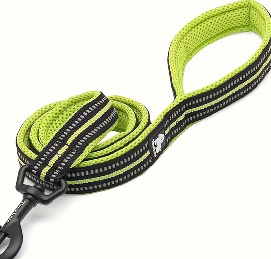 Reflective Leash- Green