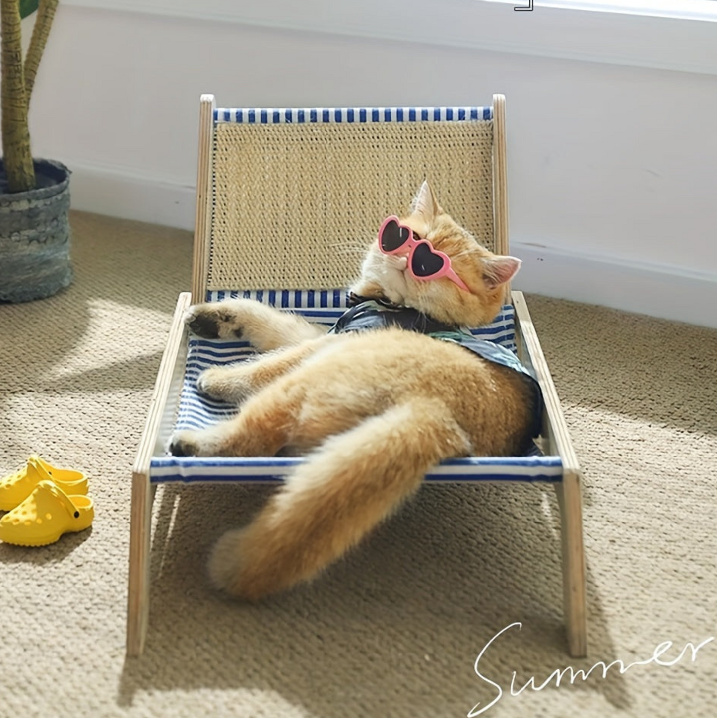 Purrfect Patio Beach Pet Chair