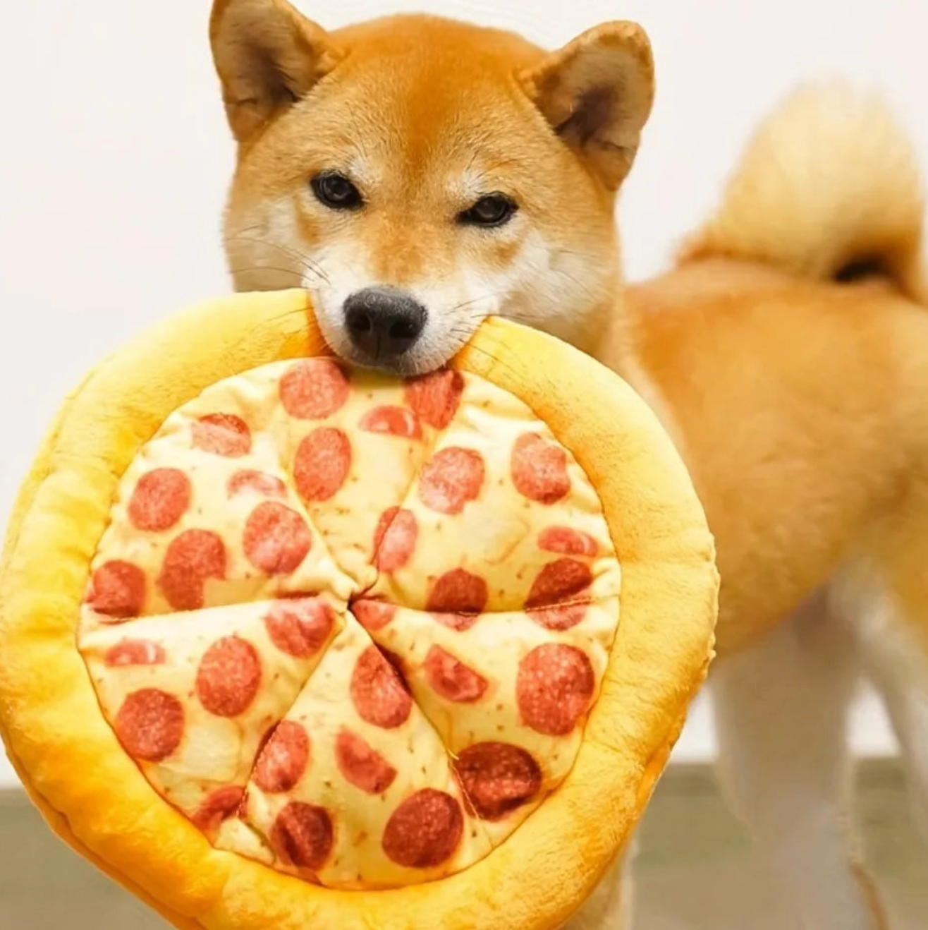 Pizza Plush w/squeeker