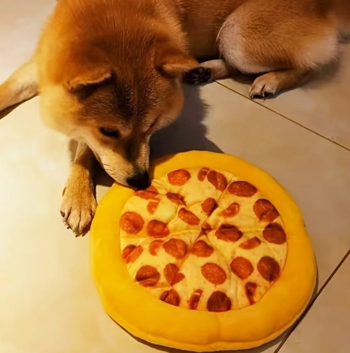 Pizza Plush w/squeeker
