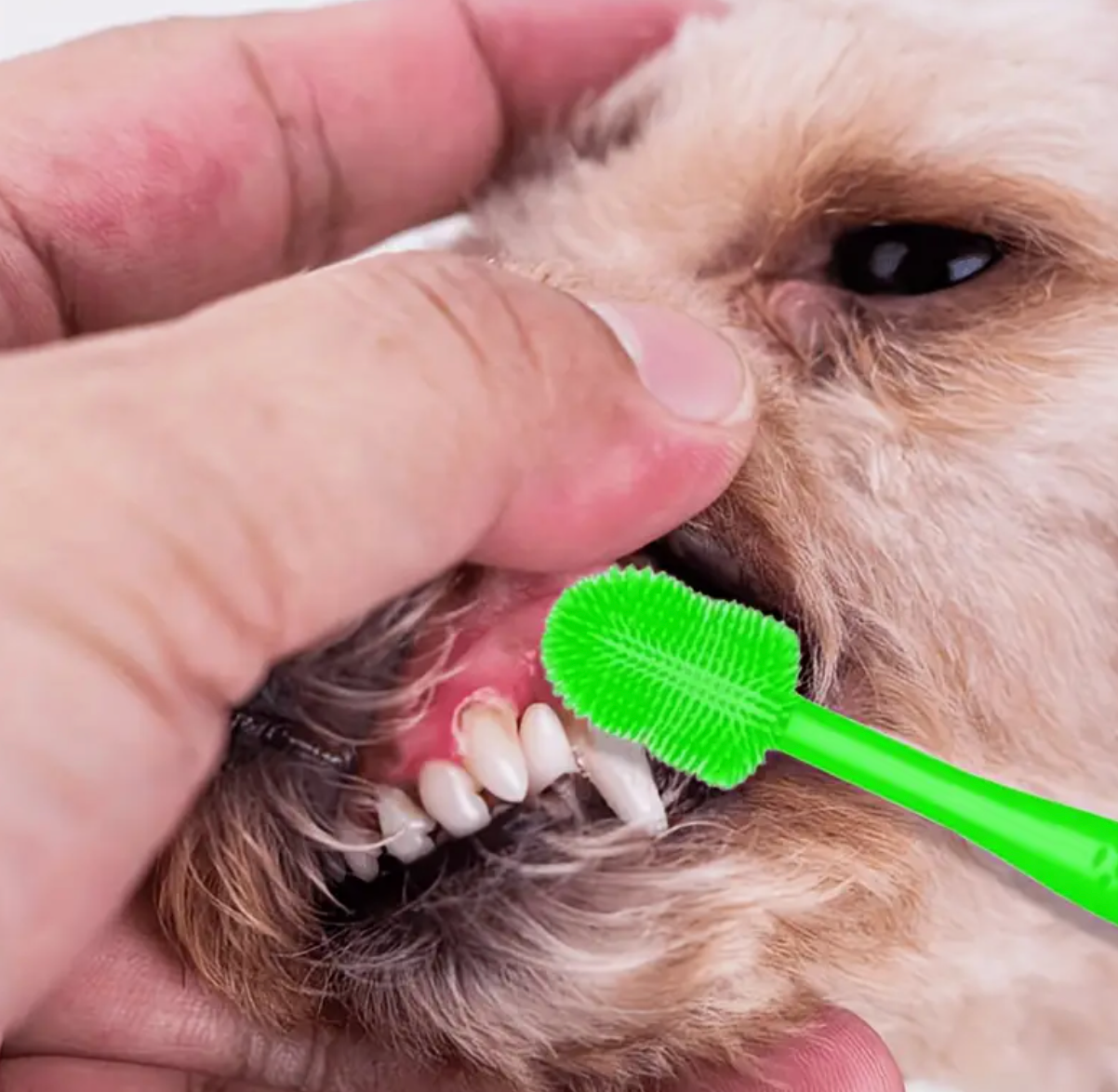 Silicone Pet Cat Dog Toothbrush