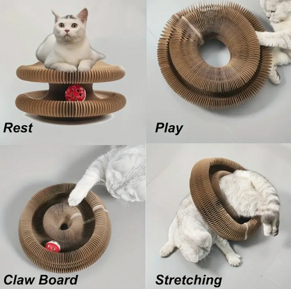 Interactive Cat Toy/Scratcher