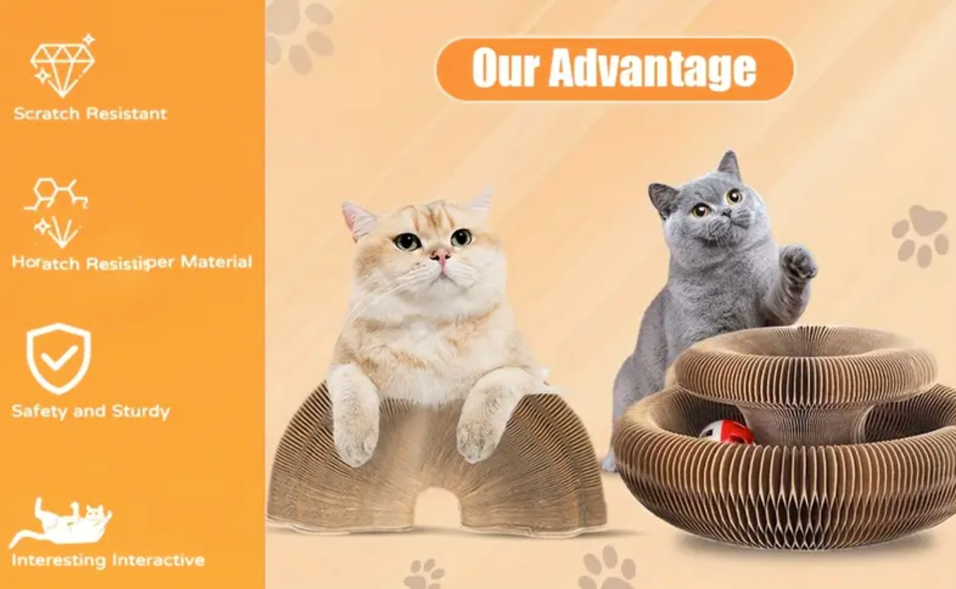 Interactive Cat Toy/Scratcher