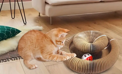 Interactive Cat Toy/Scratcher