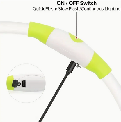 USB Rechargeable Glow Collar