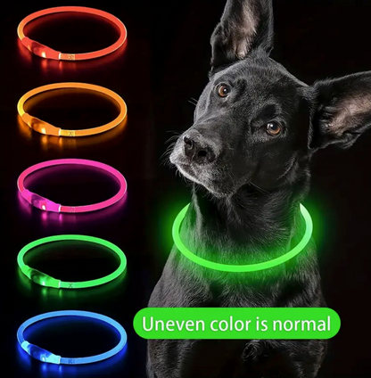USB Rechargeable Glow Collar