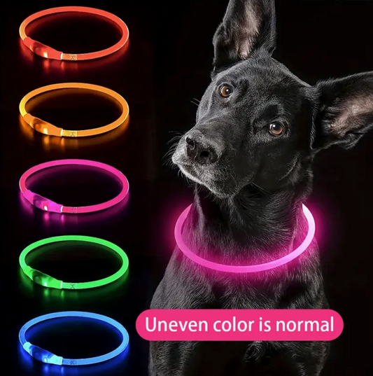 USB Rechargeable Glow Collar