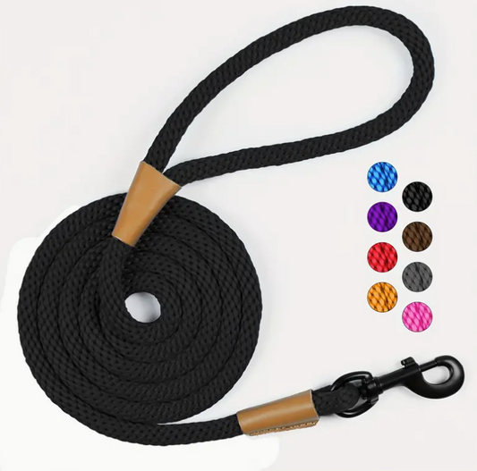 Nylon Dog Leash-Black