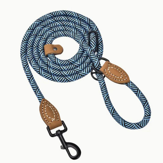 Rope Leash- Teal