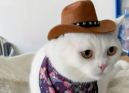 Cowboy/girl Hat Only-Brown-SMALL