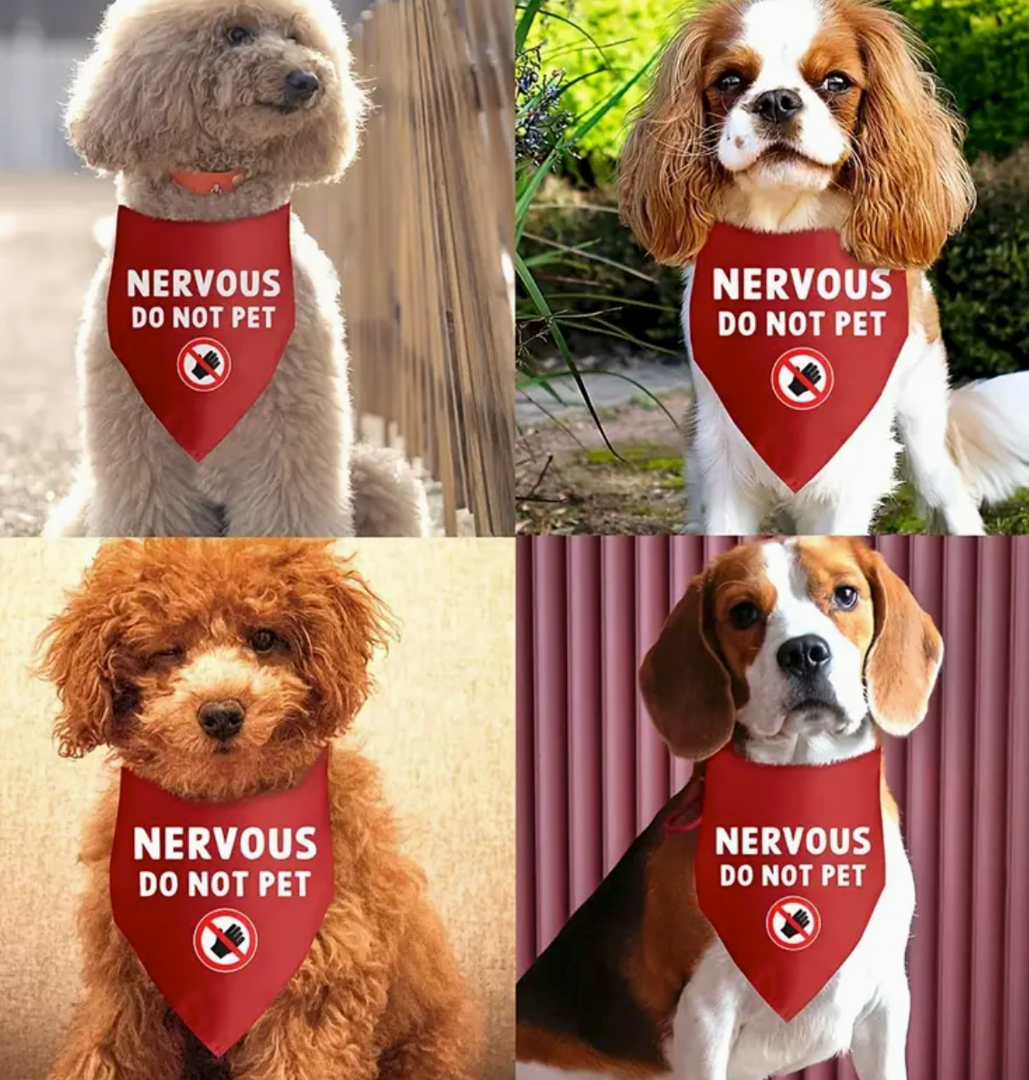 "Nervous Do Not Pet" Bandana