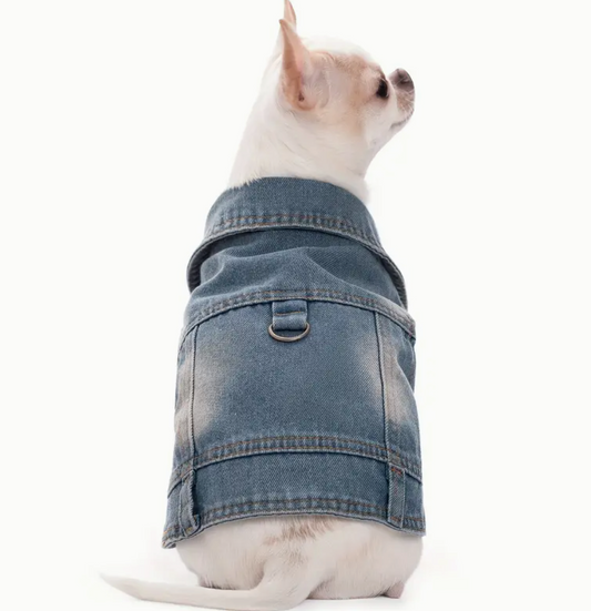 Denim Adventure Jacket