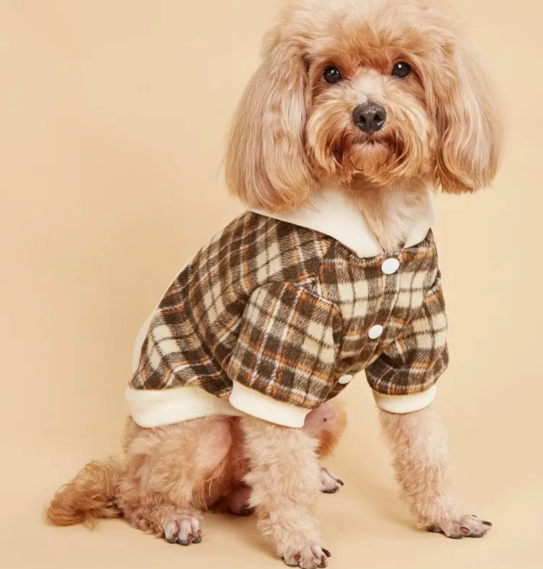 Plaid Pet Hoodie