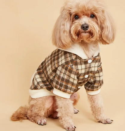 Plaid Pet Hoodie