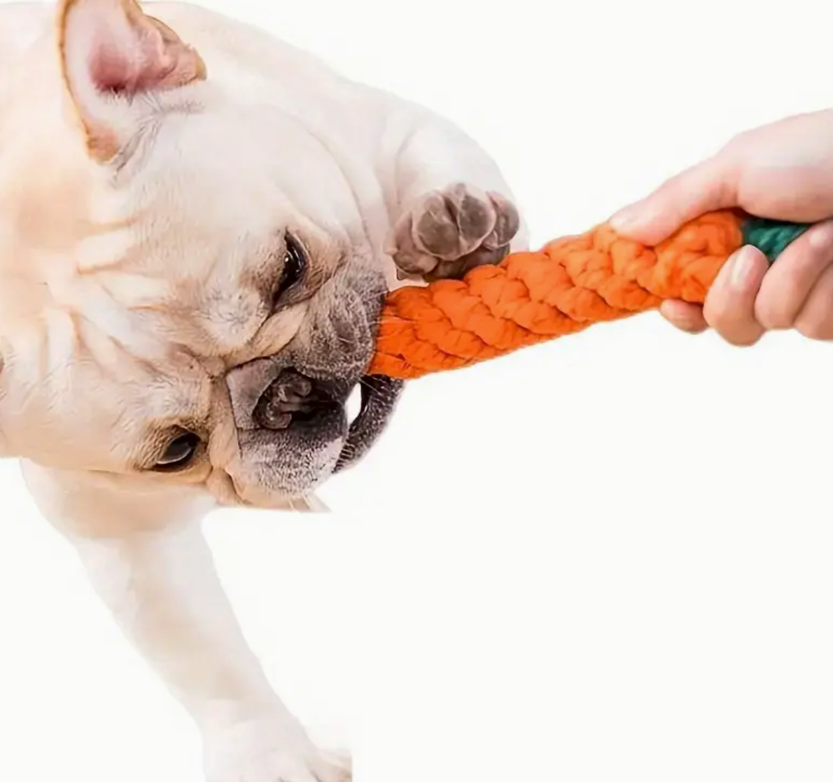 Carrot Rope Toy